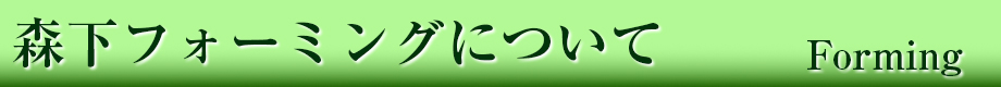森下フォーミングについて　　　Forming